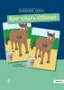 Spot What's Different Language Cards (Cards, 1st New edition) - Sue Duggleby Photo