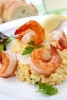 Shrimp Risotto Journal - 150 Page Lined Notebook/Diary (Paperback) - Cool Image Photo