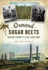 Oxnard Sugar Beets - Ventura County's Lost Cash Crop (Paperback) - jeffrey Maulhardt Photo