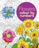 Colour by Number - Flowers (Paperback) - Arcturus Publishing Photo