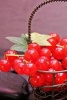 Currants Berries in a Steel Basket - Blank 150 Page Lined Journal for Your Thoughts, Ideas, and Inspiration (Paperback) - Unique Journal Photo