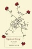 Sprawling Places (Paperback) - David Kolb Photo