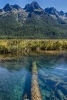 Underwater Logs in a New Zealand Lake - Blank 150 Page Lined Journal for Your Thoughts, Ideas, and Inspiration (Paperback) - Unique Journal Photo