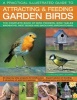 A Practical Illustrated Guide to Attracting & Feeding Garden Birds - The Complete Book of Bird Feeders, Bird Tables, Birdbaths, Nest Boxes and Backyard Birdwatching (Paperback) - Jen Green Photo