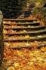 Colorful Autumn Leaves on Stone Steps in a Park Journal - 150 Page Lined Notebook/Diary (Paperback) - Cs Creations Photo