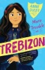 More Trouble at Trebizon (Paperback) - Anne Digby Photo