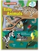 Baby Animals - Magnetology (Hardcover) - Marie Fordacq Photo