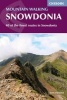 Mountain Walking in Snowdonia - 40 of the Finest Routes in Snowdonia (Paperback) - Terry Fletcher Photo