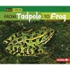 From Tadpole to Frog (Paperback) - Shannon Zemlicka Photo