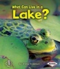 What Can Live in a Lake? (Paperback) - Sheila Anderson Photo