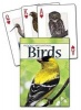 Birds of the Rocky Mountains Playing Cards (Cards) - Stan Tekiela Photo