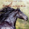 A Passion for Horses (Hardcover) - Christiane Slawik Photo