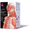 Anatomy and Physiology Flash Cards (Cards) -  Photo