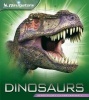 Navigators: Dinosaurs (Paperback) - David Burnie Photo