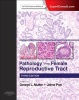 Pathology of the Female Reproductive Tract (Hardcover, 3rd Revised edition) - George L Mutter Photo