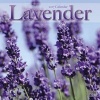 Lavender Calendar 2017 (Calendar) - Avonside Publishing Ltd Photo