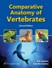 Comparative Anatomy of Vertebrates (Paperback, 2nd Revised edition) - RK Saxena Photo