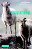 Soay Sheep - Dynamics and Selection in an Island Population (Hardcover, New) - T H Clutton Brock Photo