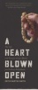 A Heart Blown Open - The Life and Practice of Zen Master Jun PO Denis Kelly Roshi (Paperback, New) - Keith Martin Smith Photo