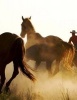 Jumbo Oversized Rounding Up the Wild Horses - Blank 150 Page Lined Journal for Your Thoughts, Ideas, and Inspiration (Paperback) - Unique Journal Photo