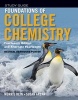 Student Study Guide to Accompany Foundations of College Chemistry, 14e & Alt 14e (Paperback, 14th) - Morris Hein Photo