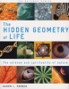 The Hidden Geometry of Life (Paperback) - Karen L French Photo