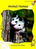 Animal Homes, Level 2 - Early (Paperback, International edition) - Pam Holden Photo