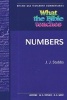 What the Bible Teaches: Numbers (Paperback) - J J Stubbs Photo