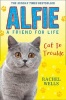 Alfie Cat in Trouble (Paperback) - Rachel Wells Photo