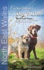 Countryside Dog Walks: North East Wales - 20 Graded Walks with No Stiles for Your Dogs (Paperback) - Gillian Seddon Photo