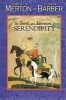 The Travels and Adventures of Serendipity - A Study in Sociological Semantics and the Sociology of Science (Paperback, New Ed) - Robert K Merton Photo