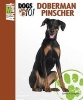 Doberman Pinscher (Hardcover) - Cynthia P Gallagher Photo