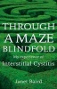 Through a Maze Blindfold: My Experience of Interstitial Cystitis 2016 (Paperback) - Janet Baird Photo