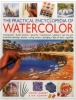 The Practical Encyclopedia of Watercolour (Paperback) - Wendy Jelbert Photo