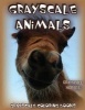  Horses -  Horses Grayscale Horses Grayscale Coloring Book () (Adult Coloring Book) (Grayscale Coloring Books) (Grayscale Adult Coloring) (Realistic Coloring) ( Coloring Book) (Grayscale Pages) (Grayscale Horses) (Paperback) - Grayscale Animals Photo