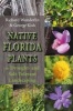 Native Florida Plants for Drought- And Salt-Tolerant Landscaping (Paperback) - Richard Wunderlin Photo