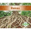 Races (Roots) (Spanish, Hardcover) - Grace Hansen Photo