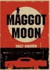 Rollercoasters: Maggot Moon (Paperback) - Sally Gardner Photo