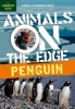 Penguin (Paperback) - Anna Claybourne Photo