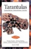 Tarantulas (Advanced Vivarium Systems) (Paperback) - Jerry G Walls Photo