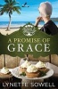 A Promise of Grace - Seasons in Pinecraft - Book 3 (Paperback) - Lynette Sowell Photo