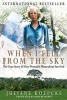 When I Fell from the Sky (Hardcover) - Juliane Diller Photo