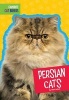 Persian Cats (Hardcover) - Mari C Schuh Photo