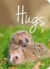 Hugs - A Photographic Celebration of the Cutest Animal Couples (Hardcover) - Ella Earle Photo