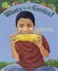 What's in the Garden (Paperback) - Marianne Berkes Photo