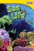 Sea Life (Upper Emergent) (Paperback, 2nd) - Dona Herweck Rice Photo