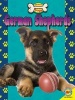 German Shepherds (Paperback) - Susan H Gray Photo