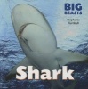 Shark (Paperback) - Stephanie Turnbull Photo