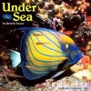 2017 Under the Sea Wall Calendar (Calendar) - Willow Creek Press Photo