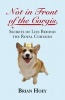 Not in Front of the Corgis - Secrets of Life Behind the Royal Curtains (Paperback) - Brian Hoey Photo